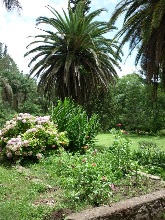Finca La Colorada San Salvador de Jujuy Esterno foto